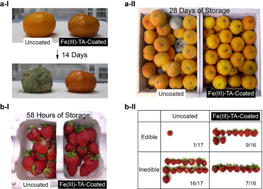 protect fruits by polymer nanocoat