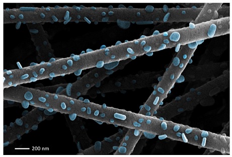 NANOPARTICLES ARE VISIBLE ON THE SURFACE OF A FUEL CELL