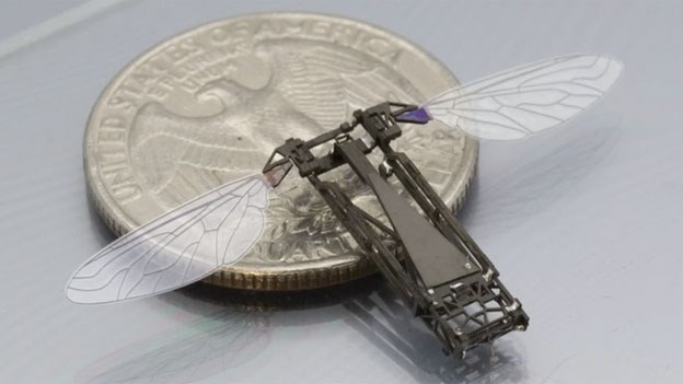 ساخت کوچکترین ربات پرنده جهان توسط دانشمندان دانشگاه هاروارد
