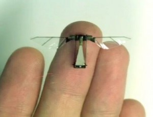 کوچکترین ربات پرنده جهان