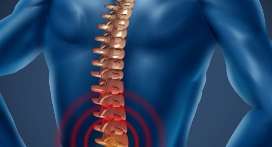 Dysfunction in spinal cord
