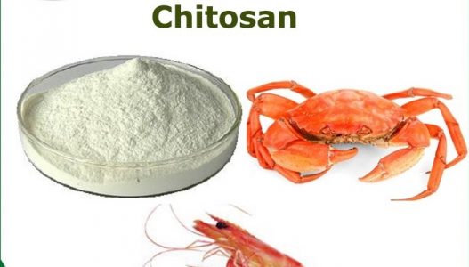 Chitosan Polymer