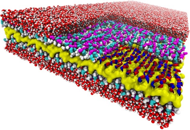 nanostructure plastic