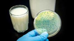تشخیص آلودگی شیر و مواد غذایی با حسگری که بر روی آنها چاپ شده است