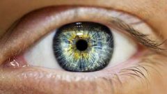 پروژه‌ای اروپایی برای ساخت پروتز‌های شبکیه چشم با کمک فناوری نانو