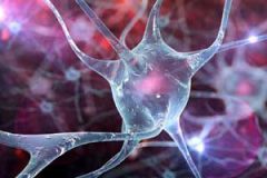 نورون مصنوعی قابل چاپ برای نخستین بار ابداع شد