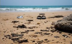 آلودگی نفتی در ساحل بوشهر پاک‌سازی شد