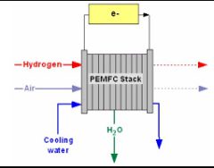 مروری بر مدل‌های پیل سوختی غشای تبادل پروتون دما پایین بر پایه فیزیک در مطالعات مدیریت آب و حرارت در سطح سیستم