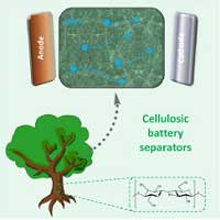 سلولز و مشتقات آن برای جداکننده‌های باتری لیتیوم یون: مروری بر روش‌های فرآیند تولید و خواص آن