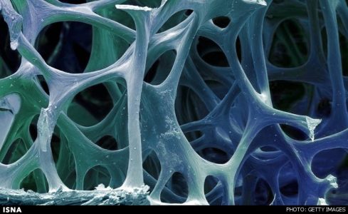 رونمایی از تولید داربست استخوانی با مواد بیوکامپوزیت جدید با کمک چاپگرهای سه بعدی FDM